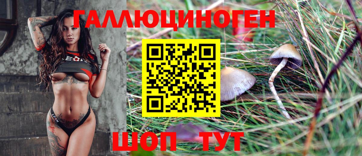 Меф МЯУ МЯУ кристаллы  НБОМе  Cocaine  Пенза  МЕТ  Гашиш  Alpha-PVP СК   Вход с VPN 