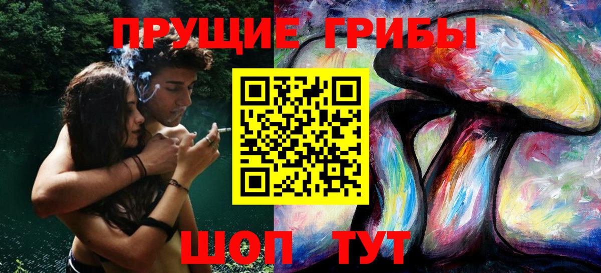 Галлюциногенные грибы MAGIC MUSHROOMS  Галлюциногенные грибы GOLDEN TEACHER  Пенза  Вход с VPN 